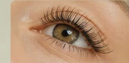 Close-up of full natural lashes